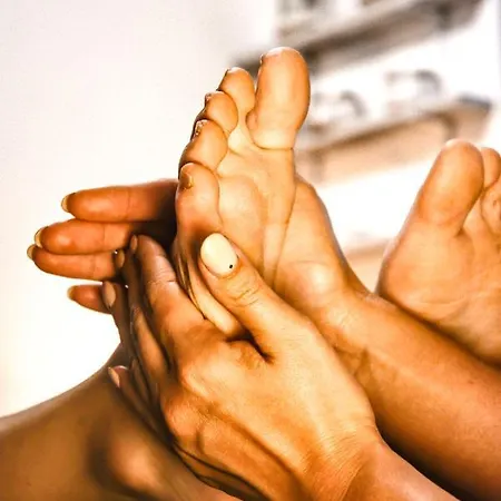 Siesta 3*